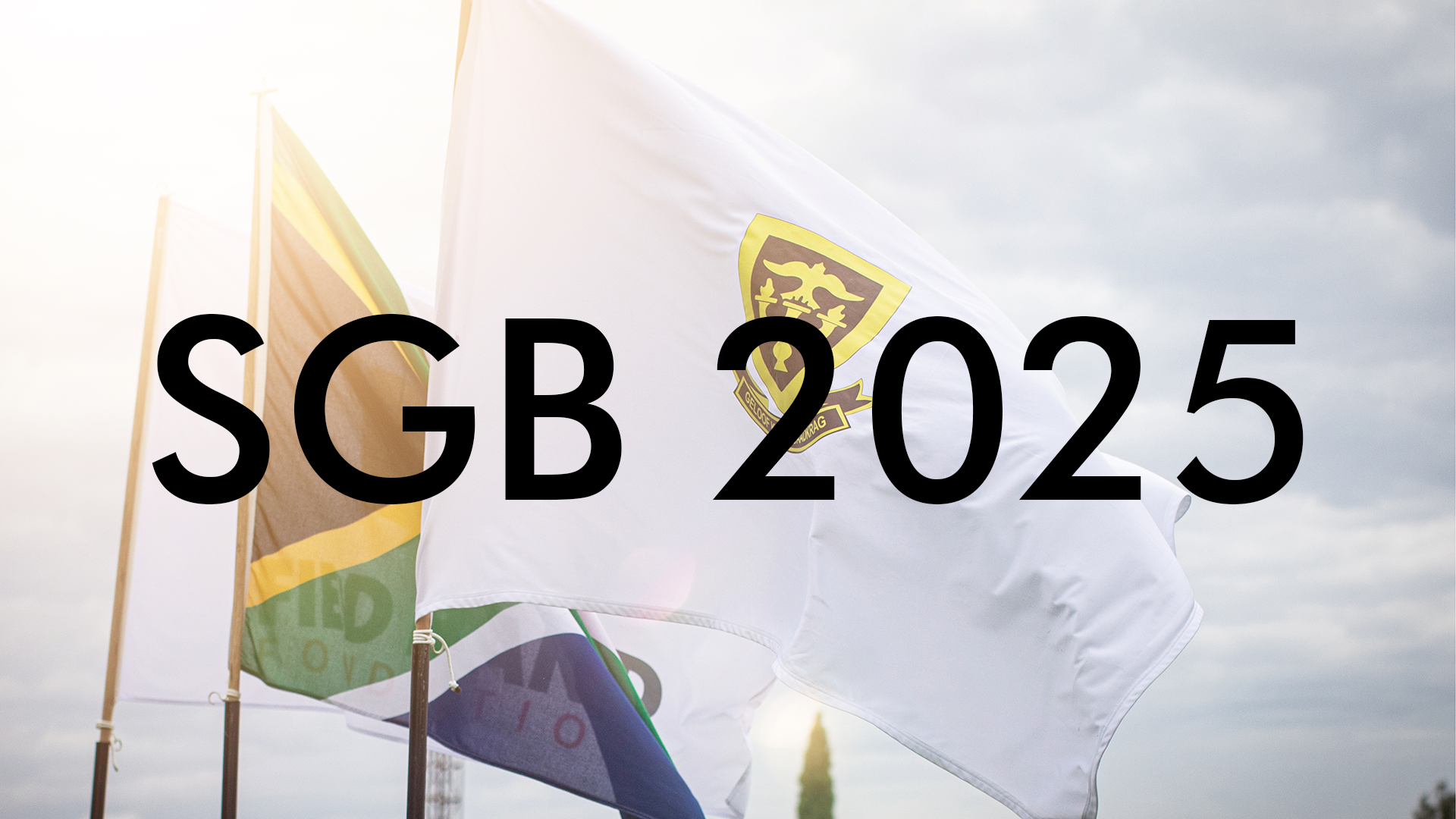 Read more about the article Introducing the SGB of 2025!